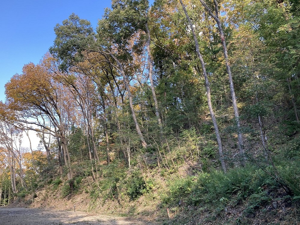 枚方市東部資源循環センター緩衝緑地の画像その1
