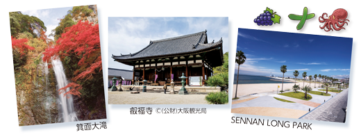 大阪の観光地である箕面大滝、叡福寺、SENNAN LONG PARKの写真が並んでいる画像。(叡福寺の写真の著作権は公益財団法人大阪観光局)
