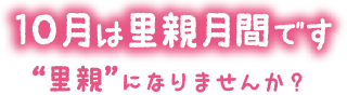 10月は里親月間です　“里親”になりませんか?