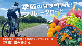 季節の甘味を目指せ! フルーツロード