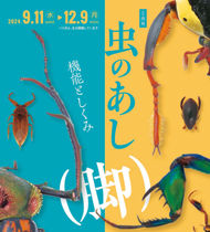 みのおこうえんこんちゅうかんきかくてん「むしのあしきのうとしくみ」のしゅうちがぞう