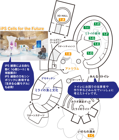 1階フロアマップ iPS細胞による自ら動く「心筋シート」を常設展示! iPS細胞の力をシンボリックに表現する「生きる心臓モデル」も必見! 「みんなのトイレ」はトイレにお困りの当事者や作り手などみんなでいっしょに考えたトイレです。