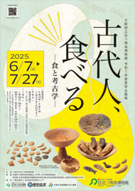「こだいじん、たべる　しょくとこうこがく」のちらし