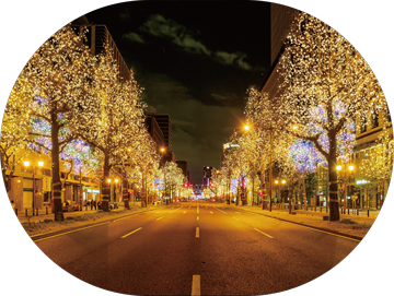 御堂筋イルミネーション2025の写真