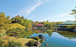 大仙公園の写真