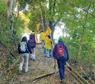 ハイキングの様子