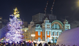 中之島公園水上劇場前ドリカムツリーの写真