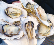 牡蠣の写真
