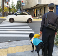 男性と盲導犬の写真