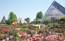 大阪府立花の文化園の写真